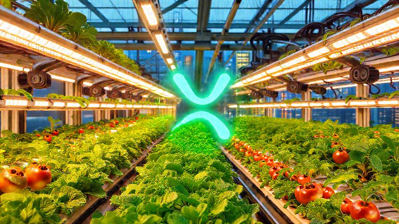 Agricultura vertical futurista alimenta con cripto